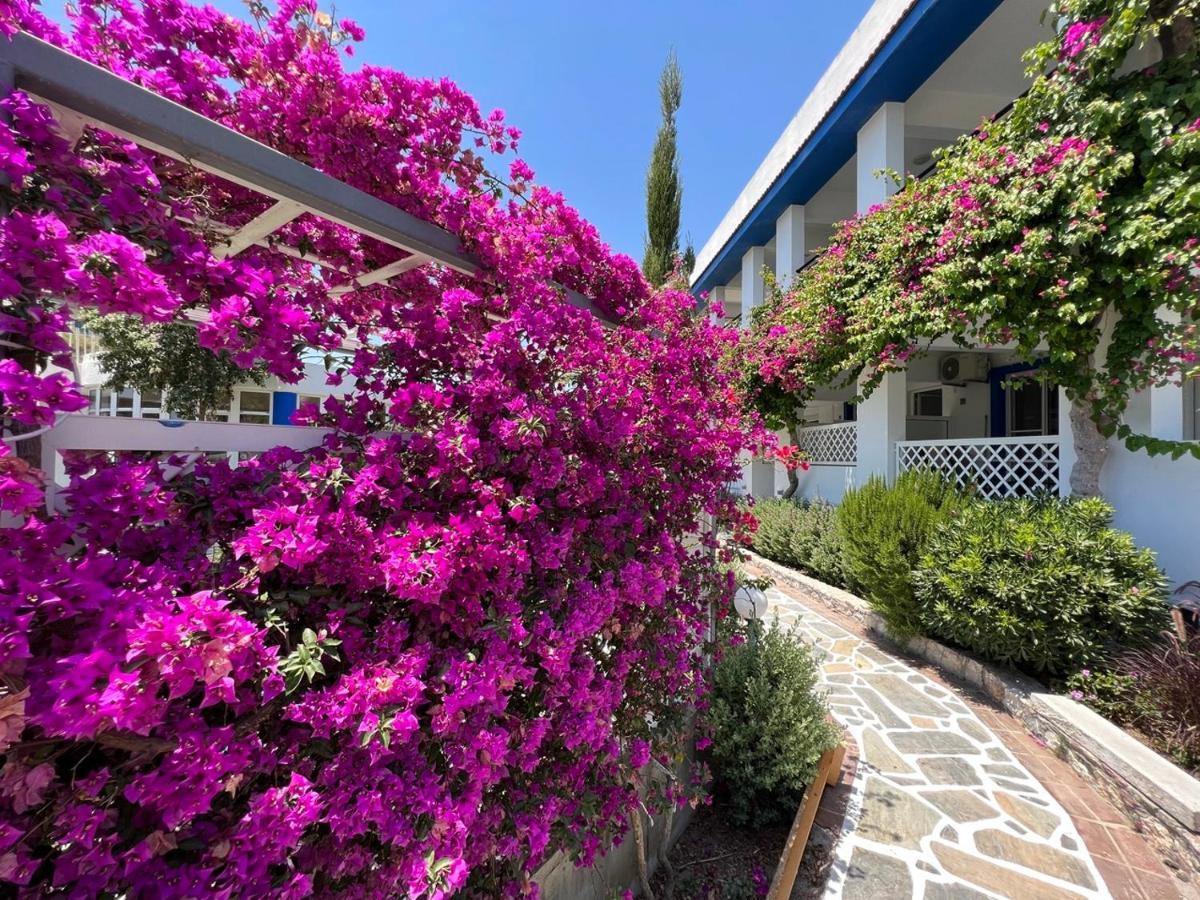 Scala Aparts & Studios - Rhodes Afantou Exterior foto